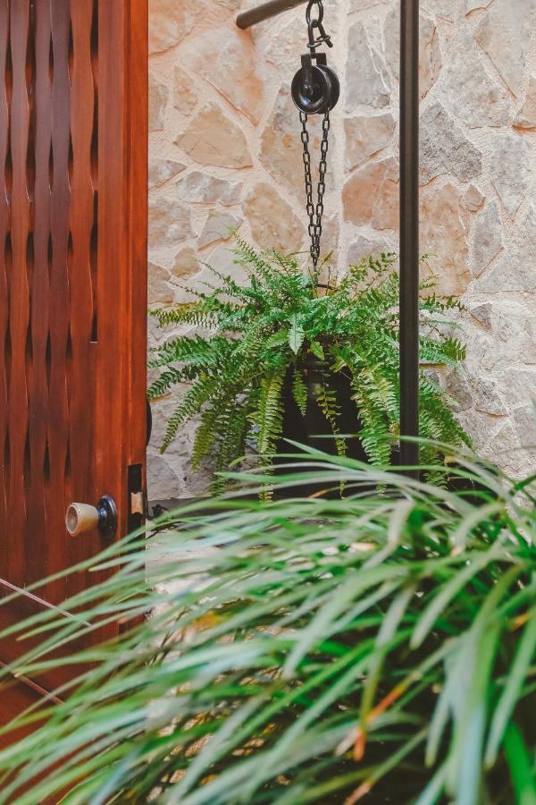 Gallu Guest house Cala Ratjada (Mallorca)